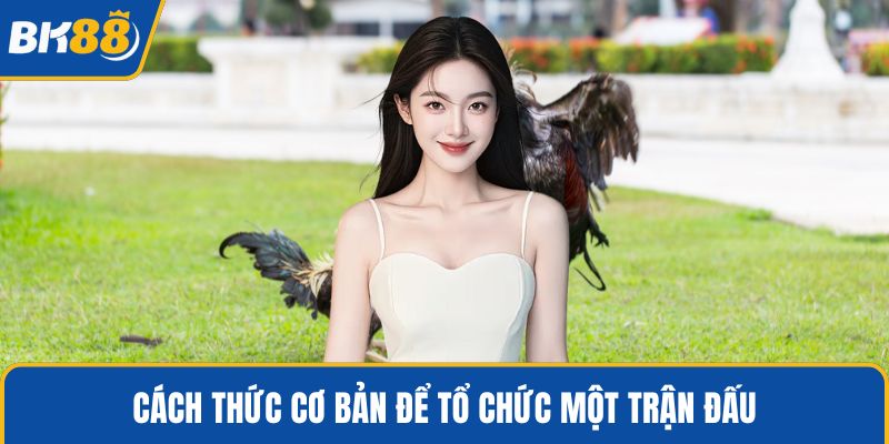 Cách thức cơ bản để tổ chức một trận đấu