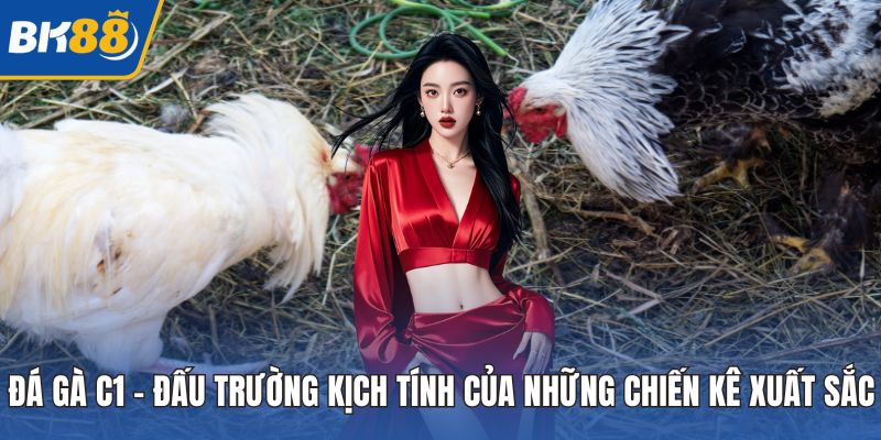 Đá Gà C1 – Đấu Trường Kịch Tính Của Những Chiến Kê Xuất Sắc