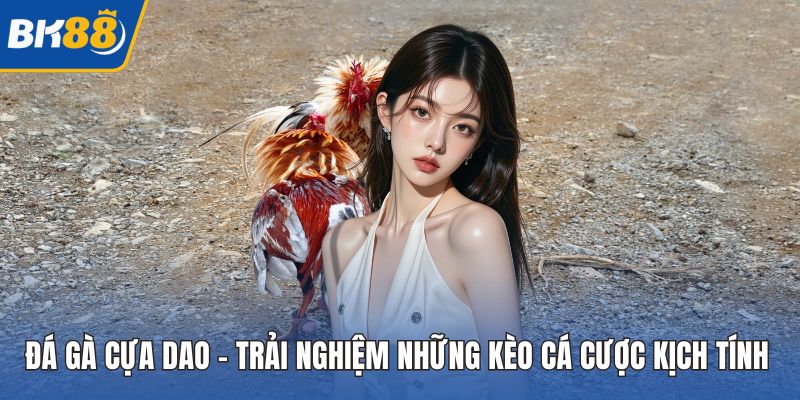 Đá Gà Cựa Dao – Trải Nghiệm Những Kèo Cá Cược Kịch Tính