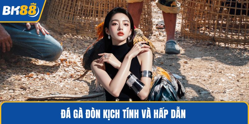 Đá gà đòn kịch tính và hấp dẫn 