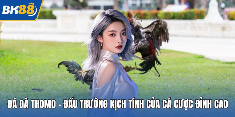 Đá Gà Thomo – Đấu Trường Kịch Tính Của Cá Cược Đỉnh Cao