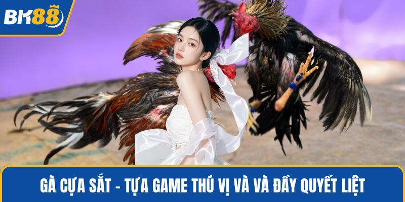 Gà cựa sắt - Tựa game thú vị và và đầy quyết liệt
