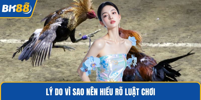 Lý do vì sao nên hiểu rõ luật chơi