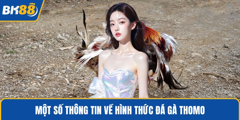 Một số thông tin về hình thức đá gà Thomo