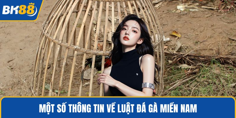Một số thông tin về luật đá gà miền Nam