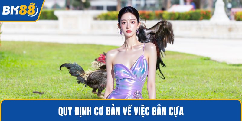 Quy định cơ bản về việc gắn cựa