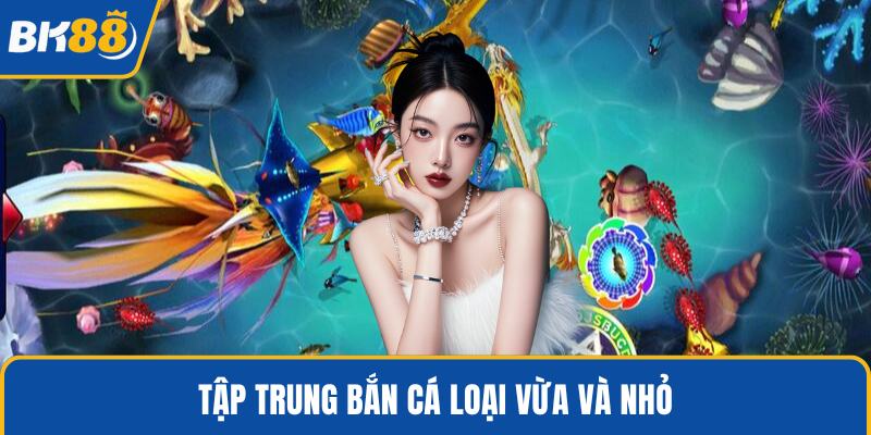 Tập trung bắn cá loại vừa và nhỏ