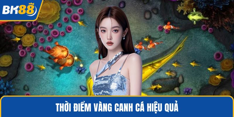Thời điểm vàng canh cá hiệu quả